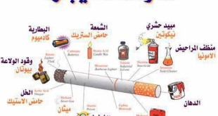 مكونات السجائر