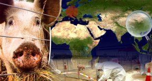 African-swine-fever-spread-map-877316