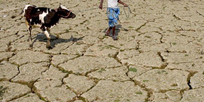 indian-farmer-drought