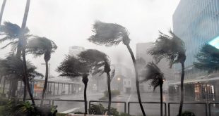 Typhoon-Trami