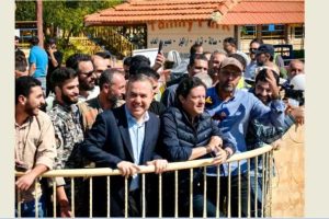 المكاري مارون الراس