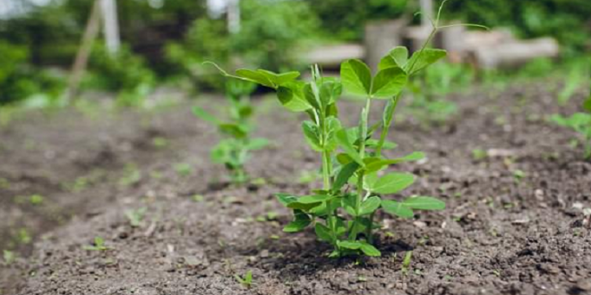 5922c5ecc4618886488b46ac