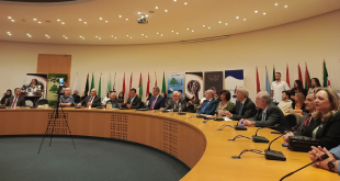 الصحافة اللبنانية الرؤيا والدور