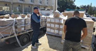 مساعدات مجلس الجنوب