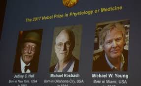 Nobel