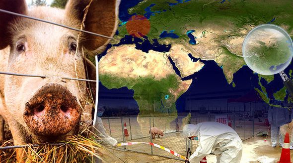 African-swine-fever-spread-map-877316
