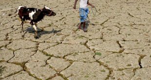 indian-farmer-drought